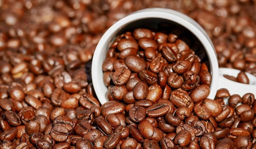 Découverte des torréfacteurs de Lyon, pour les passionnés de café